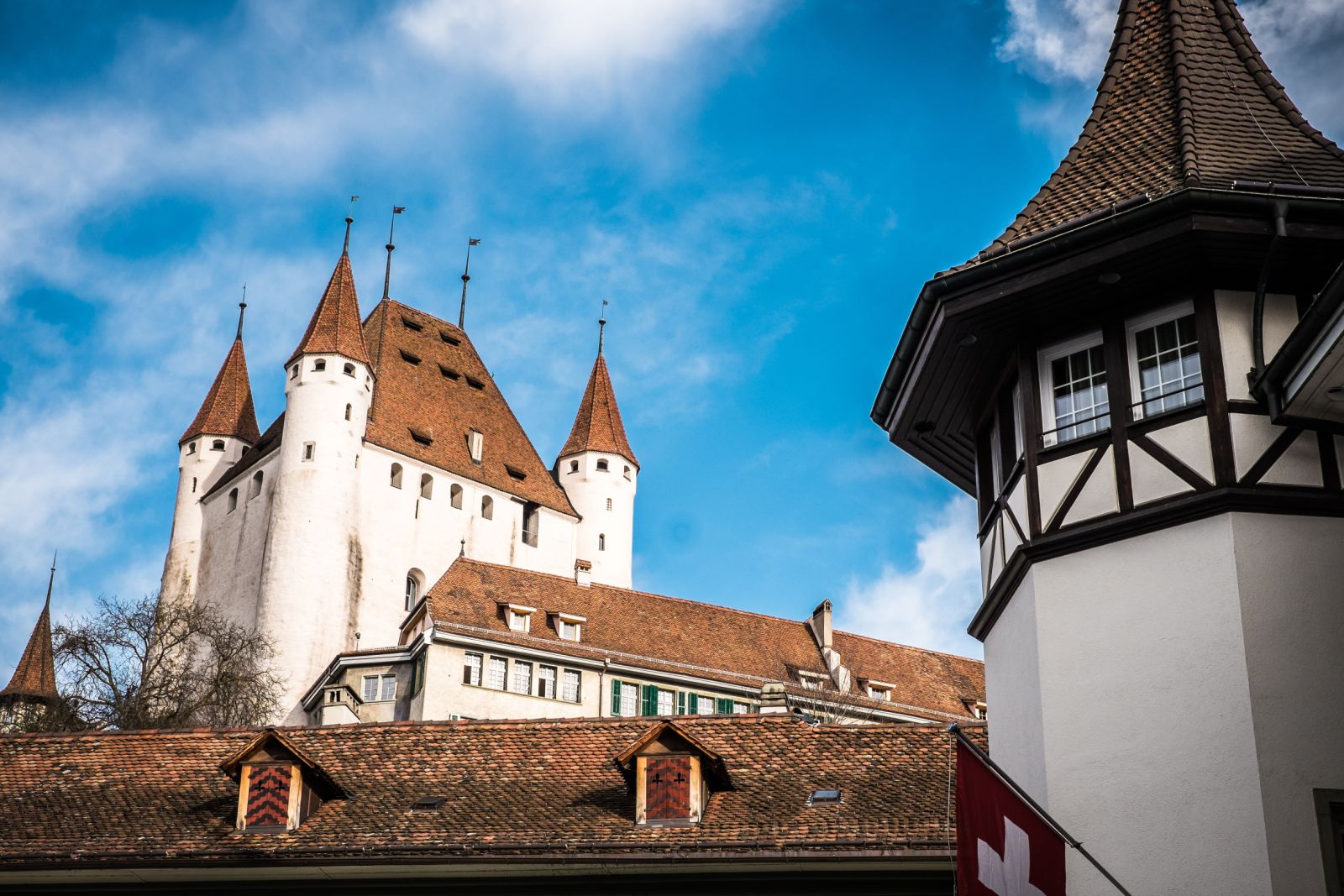 Thun castle